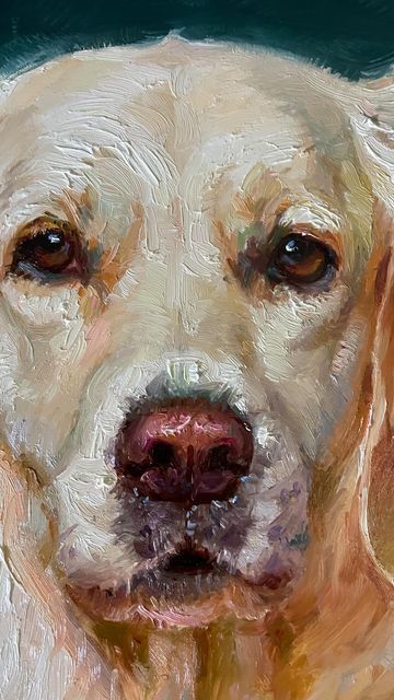 Regina Lyubovnaya on Instagram: "Golden Retriever is another start #5 in my series of 25 dogs. This is my plan, I am allowing myself to have fun with starts of 10 paintings than I have to go back and finish them all before starting any new ones. Working this way, will allow me to finish them relating to each other so when the hanged together as one painting of 25 parts there is a continuity and connectedness. It’s a good plan but will it work? #goldenretriever #instadog #dogportrait #comissio Artists Room, Hsc Art, Golden Retriever Painting, Dogs Painting, Portraits Painting, Pet Portrait Paintings, Dog Portraits Painting, Portrait Paintings, Pet Art