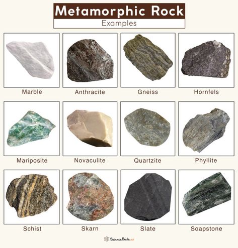 Metamorphic Rocks Examples, Rock Identification Pictures, Sedimentary Rock Formation, Different Types Of Rocks, Types Of Rocks, Mineral Identification, Color Definition, Rock Identification, Agate Rocks