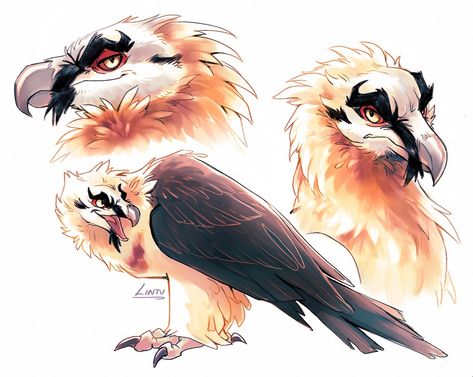 Bearded Vulture Character Design, Bearded Vulture Art, Vulture Reference, Birds Concept Art, Bearded Vulture, Creatures Art, Fantasy Beasts, Creature Drawings, Mythical Creatures Art