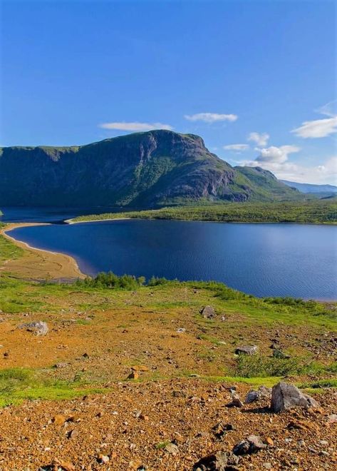 Travel world Fundy National Park, Gros Morne National Park, Gros Morne, Inspiration Words, Canada National Parks, Quotes Daily, Daily Thoughts, Natural Park, Parks And Recreation