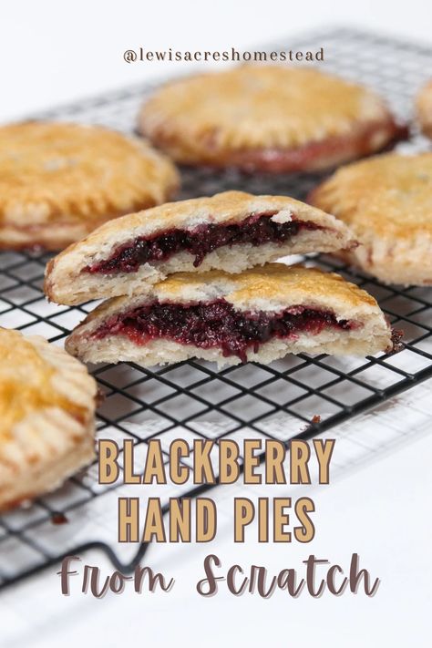 Clickable pin graphic for homemade blackberry hand pies from scratch. Blackberry Hand Pies, Sweet Tooth Craving, Pie Crust Top, Mini Pie Crust, Scratch Recipes, Hand Pie, Flaky Crust, Pastry Brushes, Hand Pies