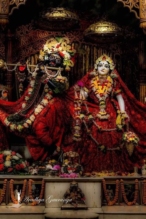 Vrindavan Photography Pictures, Iskcon Krishna, Krishna Temple, Radhe Krishna Wallpapers, Shree Krishna Wallpapers, Hanuman Photos, Little Krishna, Peace Illustration, Lord Krishna Hd Wallpaper