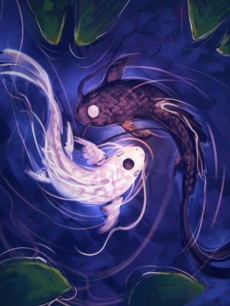 Two Fish, Yin And Yang, Avatar The Last Airbender, Koi Fish, The Last Airbender, Koi, Avatar, Fish, Water