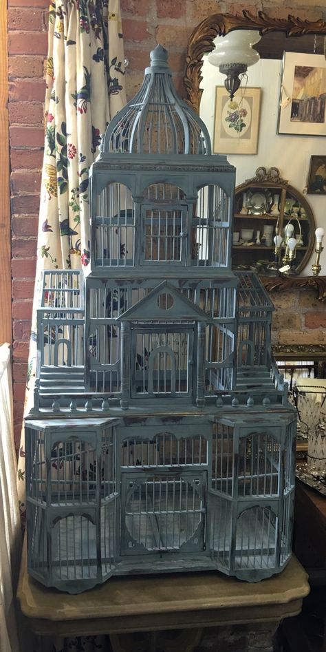 Antique Bird Cages Vintage, Ornate Bird Cage, Vintage Bird Cage Decor, Mermaid Palace, Wardian Case, Antique Bird Cages, Pet Bird Cage, Victorian House Plans, Cottage Aesthetic