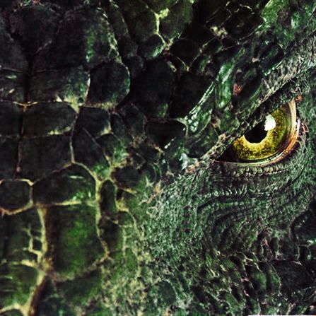 Forest Dragon Aesthetic, Dragonborn Dnd Aesthetic, Snake Aesthetic Green, Dragon Aesthetic Green, Green Dragon Aesthetic, Baldurs Gate 3 Aesthetic, Dragonborn Aesthetic, Bg3 Aesthetic, Dragon Rider Aesthetic