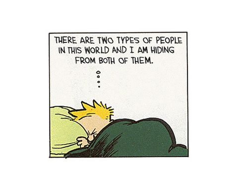 Calvin and Hobbes Calvin Und Hobbes, Calvin And Hobbes Quotes, Bill Watterson, Calvin And Hobbes Comics, Two Types Of People, Life Is What Happens, Types Of People, Calvin And Hobbes, Philosophers