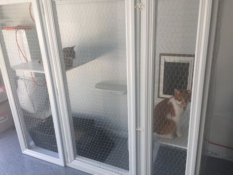 Outside Litter Box Enclosure, Cat Litter Garage Ideas, Litter Box In Garage Ideas, Cat Garage Ideas, Ideas For Cat Litter Boxes, Litter Box Garage, Garage Cat Enclosure, Kitty Litter Enclosure, Garage Litter Box Enclosure