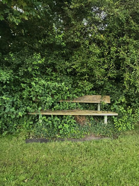 Nature In Urban Environment, Green Park Aesthetic, Park Bench Aesthetic, Overgrown Nature, Overgrown City, Apocalyptic City, Scenic Backgrounds, Post Apocalyptic City, Park Aesthetic