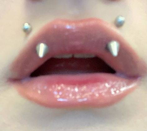 Angel Piercing Lips, Vampire Fangs Piercings, Fang Pericings, Angel Bites Piercing Aesthetic, Angle Bite Fangs Piercing, Vampire Piercing Mouth, Kitty Fangs Piercing, Angel Fangs Piercing With Snake Bites, Snakebite Piercing Aesthetic