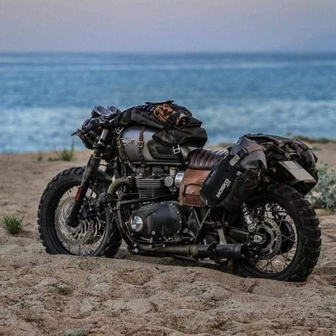 T120 Triumph, Adventure Bike Motorcycles, Triumph Bonneville T120, Custom Bikes Cafe Racers, Stylish Bike, Triumph Bikes, Мотоциклы Cafe Racers, Motorcross Bike, Cafe Racer Style