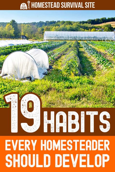 Homestead Style, Survival Preparedness, Off Grid Survival, Homestead Life, Homestead Ideas, The Barnyard, Mini Farm, Survival Techniques, Personal Improvement