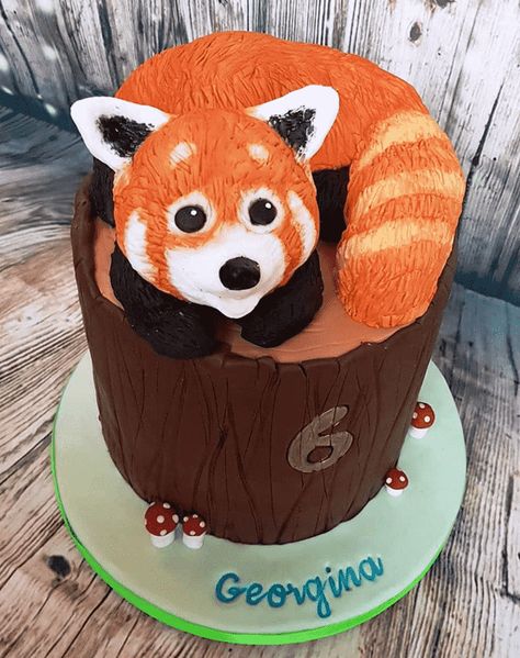 Red Panda Cake Design Images (Red Panda Birthday Cake Ideas) Red Panda Birthday Party Decorations, Red Panda Cake Ideas, Red Panda Decorations, Clay Red Panda, Panda Birthday Cake, Star Wars Birthday Cake, Red Panda Eating Bamboo, Panda Birthday Party, Marvel Cake