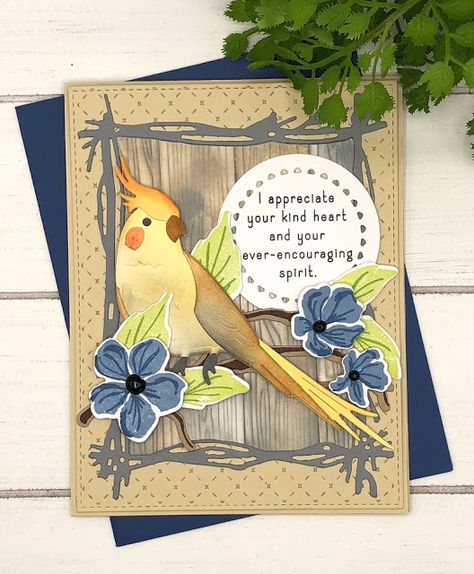 Paper Feathers, Papertrey Ink Cards, Bird Cards, Papertrey Ink, Animal Cards, Kind Heart, Patterned Paper, Clear Stamps, Milestones