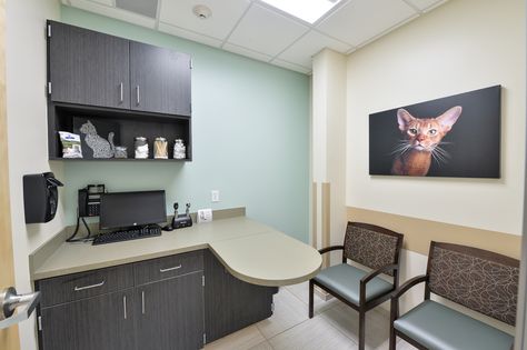 VCA Hillsboro Animal Hospital - Coconut Creek, Florida: Cat Exam Room Rooms For Cats, Cat Exam, Healthcare Interior Design, Clinic Interior, Stuart Florida, Shelter Design, Vet Clinics, Pet Clinic, Hospital Design