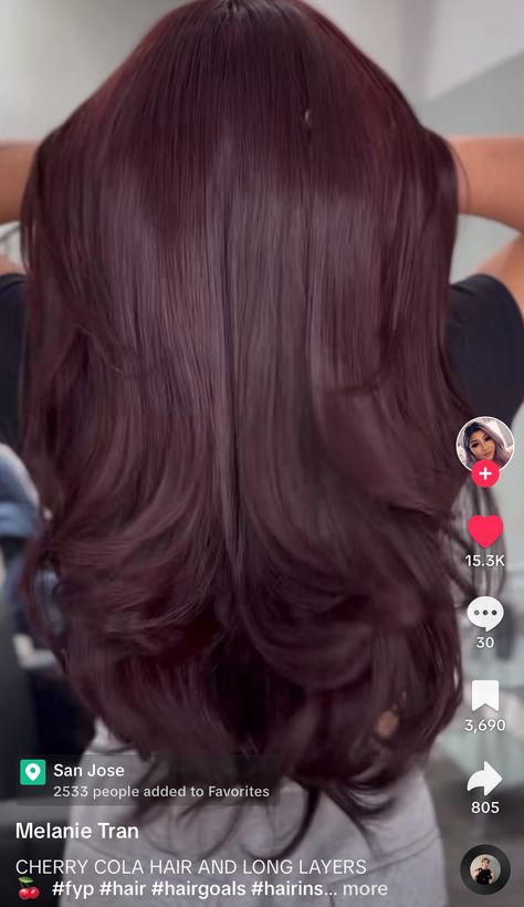 Dark Cherry Burgundy Hair, Cherry Cola Hair Color Balayage, Dark Maroon Hair, Hair Color Cherry Coke, 90 Hair, Cherry Brown Hair, Cherry Cola Hair, Trendy Shades, Plum Hair