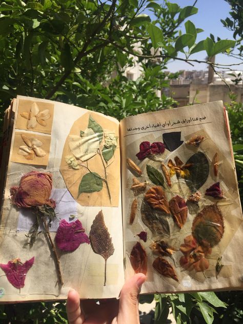 Pressed Flowers Book, Flower Press Book, Coquette Diy, Diy Travel Journal, Pressed Flower Crafts, Flower Press, Flower Collage, Diy Journal Books, Bio Art