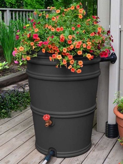 Decorative Rain Barrels, Rain Barrel System, Plantarea Legumelor, Barrels Diy, Rain Barrels, Water Barrel, Water Collection, Rainwater Harvesting, Rain Barrel