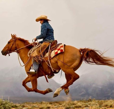 Cowboys On Horses Pictures, Cowboy And Horse Photography, Cowboy Horse Riding, Cowboy On Horse Reference, Spanish Cowboy, Cowboys On Horses, Cowboy With Horse, Cowboy Reference, Cowboy On A Horse