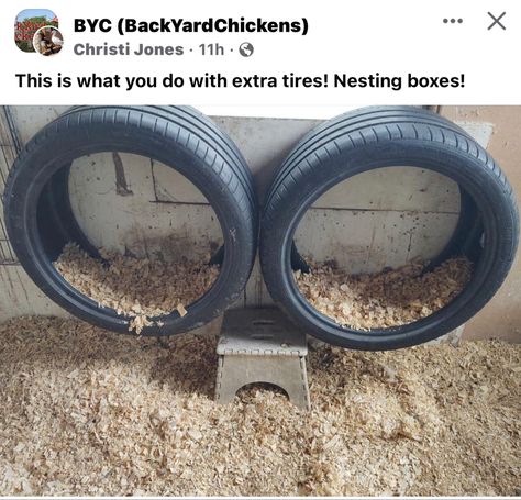 Tires In Chicken Coop, Tire Nesting Boxes, Chicken Feed Diy, Chicken Roost, Chicken Coop Garden, Chicken Pen, Backyard Chicken Coop Plans, Diy Chicken Coop Plans, Backyard Chicken Farming