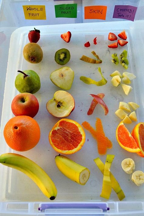 10 Sensory Activities for Babies Preschool Food, Senses Activities, Nutrition Activities, Food Activities, Aktivitas Montessori, Food Science, Reggio Emilia, Food Themes, Sensory Bins