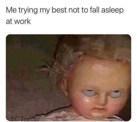 Falling Asleep At Work, When She Says, Meme Page, Fell Asleep, Morning Humor, Work Memes, Funny Relatable Quotes, Work Humor, Work Quotes