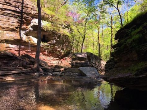 Lost valley Underground Waterfall, Arkansas Waterfalls, Arkansas Vacations, Ozark National Forest, Arkansas Travel, Swimming Hole, Hot Springs National Park, Rock Creek, Awe Inspiring