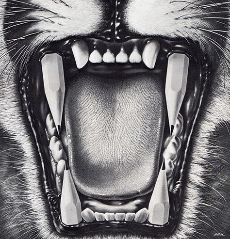 Lion Teeth, Teeth Aesthetic, Teeth Drawing, Tiger Tooth, Teeth Art, Mouth Drawing, Art Essentials, Lion Fish, Picture Illustration