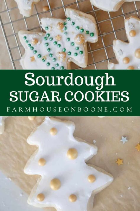 Sourdough Cutout Sugar Cookies, Sourdough Cut Out Sugar Cookies, Sourdough Christmas Cookies Recipe, Sourdough Sugar Cookie Recipe, Sourdough Cookies Healthy, Sourdough Discard Sugar Cookies, Sourdough Gingerbread Cookies, Sourdough Sugar Cookies, Sourdough Christmas Cookies