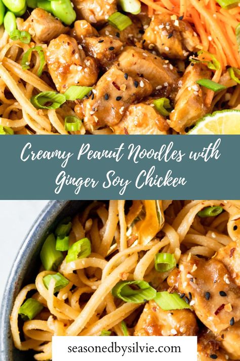 These Creamy Peanut Noodles are nutty, a tiny bit spicy, perfectly salty and filled with umami flavor. The Ginger Soy Chicken mixed in gives it a hearty protein and vegetables like shredded carrot and umami lighten it up and give this bowl a delicious texture! It’s so good served warm for dinner or cold in your meal-prep rotation. noodles recipes, peanut noodle recipe, peanut noodle recipe with chicken, summer noodle recipes, meal prep with noodles Peanut Noodle Recipe, Peanut Noodle Bowl, Healthy Rice Noodles, Peanut Butter Noodles Recipe, Noodles Recipes, Asian Chicken Recipes, Soy Chicken, Noodle Recipe, Sticky Chicken