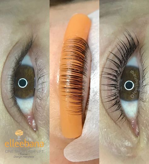 Last lift and tint by @feeltheheal Lash Perm And Tint, Eye Lash Sketch, Perm Eyelashes, Lash Tint And Lift, Eyelash Extensions Care, Keratin Lash Lift, Eyelash Decor, Eyelash Perming, Lash Perm