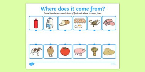 Where Does Food Come From Activity Sheet Farm Animals Preschool, Flow Map, Sequencing Worksheets, Eyfs Activities, Pbs Kids, Math Review, 4th Grade Math, My Food, Baby Sensory