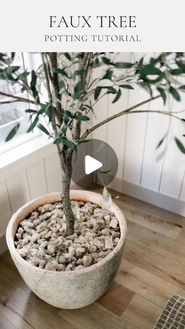 KATIE STAPLES on Instagram: "How to make your faux tree look more realistic!

I planted our 9’ faux olive tree in this gorgeous planter from our local Armstrong’s Nursery. We made a floating platform out of cardboard, layered trash bags for height, and added preserved moss on top! I love how the beige moss blends in with the pot and doesn’t compete with the beauty of the tree ☺️ 

Details and links here! 👇🏼

How to Shop This Post:
◽️Comment SHOP to get all today’s product links sent directly to your DMs!
◽️Click the link in my bio and select SHOP MY INSTAGRAM 
◽️Download the liketoknow.it app and follow halfway_wholeistic to shop all my posts and tons of app exclusive content!

Planter:
Armstrong’s Nursery

Walls and Trim:
Benjamin Moore White Dove at 75%

Direct LTK Link:
https://liketk Halfway Wholeistic, Floating Platform, Benjamin Moore White, Faux Olive Tree, White Dove, Preserved Moss, Faux Tree, Select Shop, White Doves