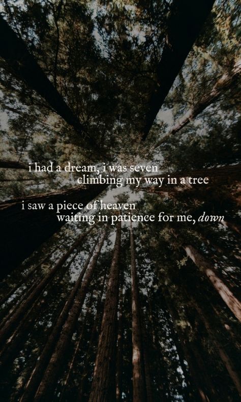 Aurora Runaway Lyrics, Aurora Lyrics, Runaway Lyrics, Aurora Runaway, Runaway Aurora, Lyrics Wallpaper, I Have A Dream, My Collection, I Saw