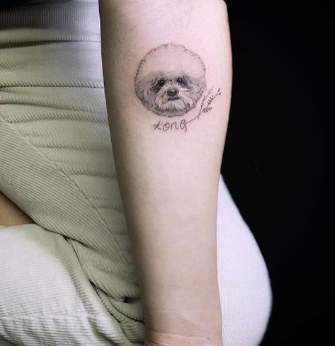 Bichon Tattoo Ideas, Bichon Tattoo, Bichon Frise Tattoo Ideas, Bichon Frise Tattoo, Tattoo Ideas Memorial, Dog Tattoo Ideas Memorial, Dog Outline Tattoo, Bichon Frise Illustration, Bichon Frise Paintings