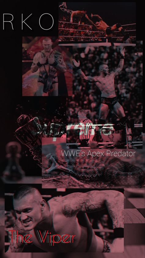 Randy Orton Aesthetic, Randy Orton Wallpapers, Marc Spector, Randy Orton Wwe, Mauro Icardi, Wwe Wallpapers, Cody Rhodes, Apex Predator, Basketball Wallpaper