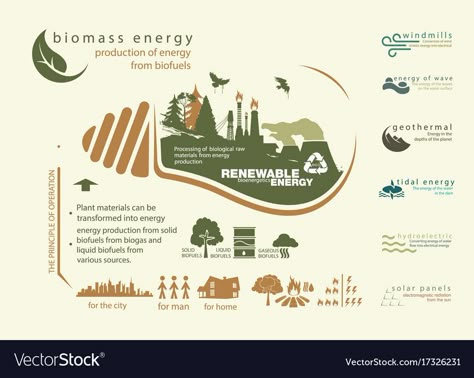 Energy Infographic, Wave Energy, Coffee Poster Design, Biomass Energy, Floating Architecture, Infographic Layout, Renewable Energy Projects, Graphic Design Infographic, Infographic Poster