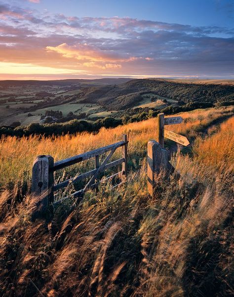 Joe Cornish Yorkshire Landscape Photography, Yorkshire Moors Photography, Uk Landscape Photography, North Yorkshire Moors, Rural Landscape Photography, Yorkshire Photography, Rural Photography, Era Victoria, Yorkshire Moors