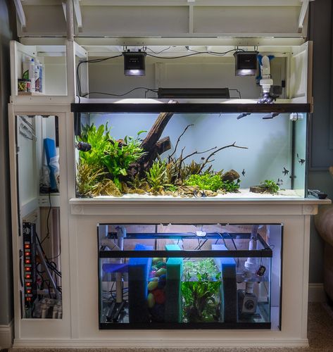 My 75 Gal w/ DIY Custom Stand and DIY Sump/Refugium - The Planted Tank Forum Diy Aquarium Stand, Saltwater Aquarium Setup, Aquarium Sump, Aquarium Stands, Fish Tank Stand, Diy Fish Tank, Tank Stand, Diy Aquarium, Aquarium Setup