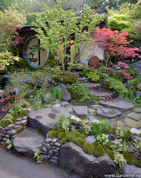 Japanese Garden Rocks, Rock Garden Japanese, Japanese Garden Flowers, Japanese Flower Garden, Japanese Rock Garden, Small Japanese Garden, Japanese Garden Landscape, Zen Garden Design, Japan Garden