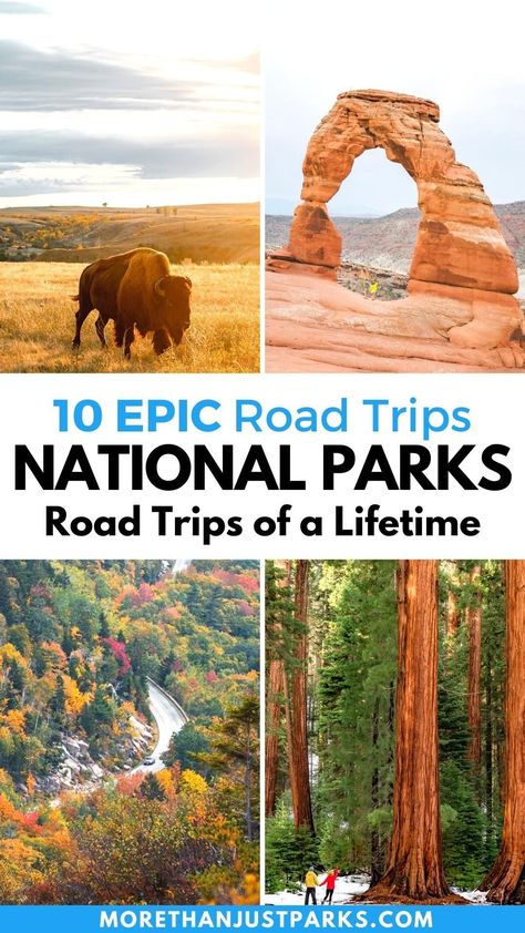 Planning a national parks road trip are we? We've spent the past decade in the parks doing nearly every national park road trip imaginable. We've ranked them all here! #nationalparks #roadtrip #usa #travel National Parks Road Trip Map, Road Trip Yellowstone, Road Trip East Coast, National Park Road Trips, National Parks Road Trip, Utah National Parks Road Trip, Road Trip Map, National Park Camping, Rv Road Trip