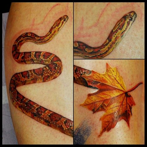 the start of a corn snake tattoo Artist: Justin Buduo Corn Snake Tattoo, Tattoo Artist Quotes, Cross Shoulder Tattoos, Dragon Thigh Tattoo, Tattoo Word Fonts, Thigh Tattoo Men, Tattoo Snake, Snake Tattoos, Hip Thigh Tattoos