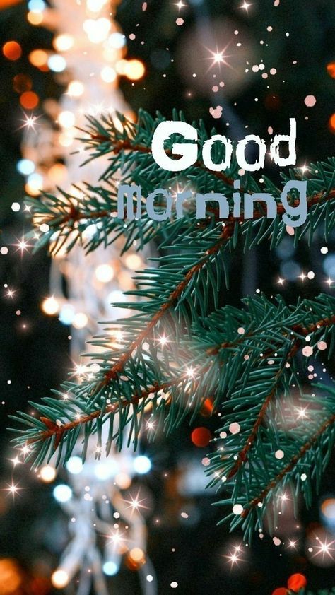 Winter Good Morning, Happy Snow Day, December Morning, Good Morning Christmas, Good Morning Winter, Morning Christmas, Evening Pictures, Good Morning Funny Pictures, Merry Christmas Quotes