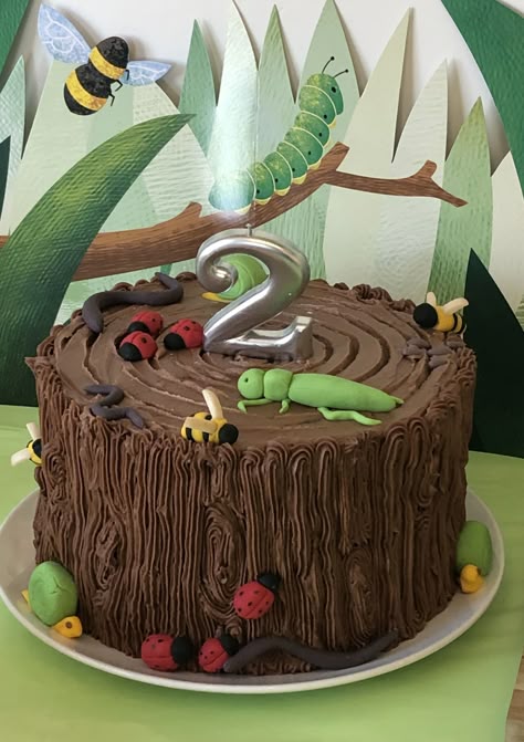 Insect Cakes For Boys, Bug Theme Birthday Cake, Insect Theme Cake, Bug Theme Cake, Bug Smash Cake, Bug Party Cake, Reptile Themed Birthday Cake, Bugs Birthday Cake, Insect Cake Ideas