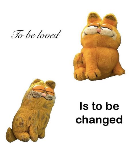 To Be Loved Is To Be Changed, Blogging Aesthetic, Garfield Images, A Silent Voice, To Be Loved, Wholesome Memes, Orange Cat, Just Girly Things, Pretty Words