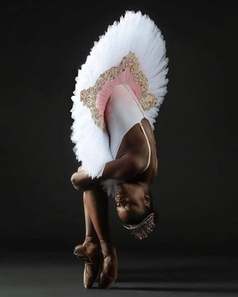 The Brown Girls Project Black Dancers, Dancer Photography, Ballet Aesthetic, Ballet Beauty, Art Of Dance, Black Ballerina, Misty Copeland, Black Ballet, Dance Theater