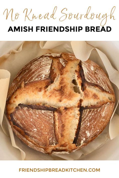 Dairy Free Amish Friendship Bread, Amish Friendship Bread With Starter, Amish Friendship Bread Recipes Ideas, Amish Friendship Bread Variations, Amish Bread Starter Recipes, Herman Starter, Amish Breads, Amish Starter, Buckwheat Sourdough