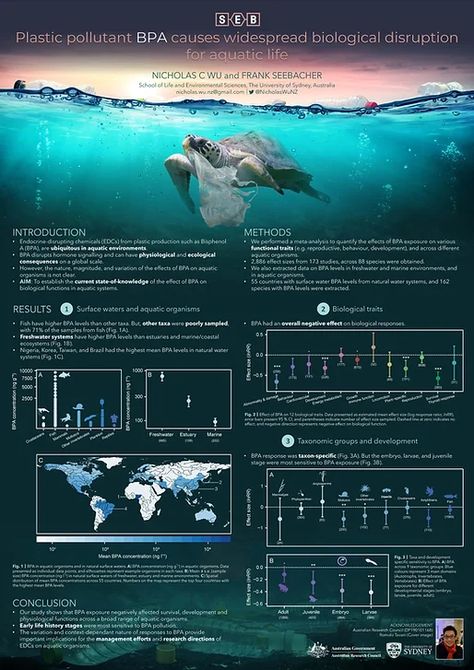 PORTFOLIO | home Estuarine Crocodile, Scientific Poster Design, Academic Poster, Scientific Poster, Stradbroke Island, Research Poster, Daintree Rainforest, Environmental Research, Poster Layout