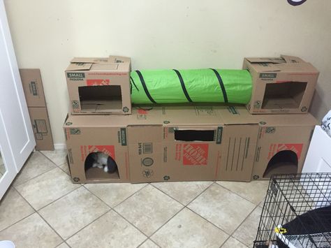 Diy Bunny House Cardboard, Cat Towers Diy, Cardboard Bunny House, Diy Rabbit House Cardboard, Bunny House Indoor Diy Cardboard, Cardboard House For Rabbits, Cat Towers Diy Homemade, Bunny Castle Diy, Cardboard Box Cat House Diy How To Make