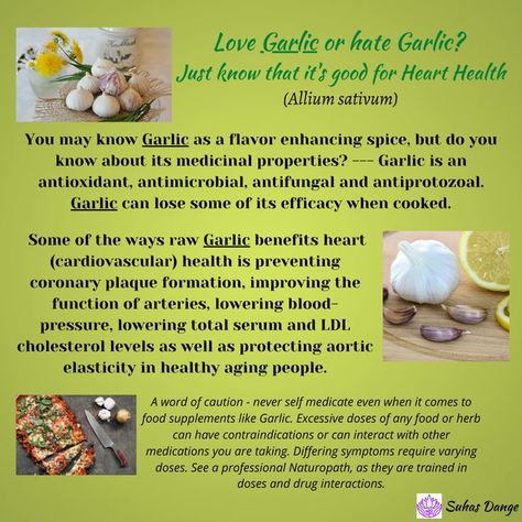 When a fresh garlic 🧄 clove is chopped, crushed, or chewed, it forms sulfur compounds.These natural compounds, mainly allicin, gives garlic 🧄 it's health benefits. Garlic 🧄 also contains various other nutrients. Garlic Benefits, Food As Medicine, Garlic Clove, Ldl Cholesterol, Cardiovascular Health, Healthy Aging, Cholesterol Levels, Lower Blood Pressure, Good Fats