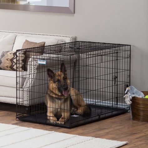 Training Dogs is Essential. Big Dog Cage, Cages For Sale, Airline Pet Carrier, Puppy Crate, Dog Cage, Cat Cages, Cheap Dogs, Dog Cages, Indoor Dog